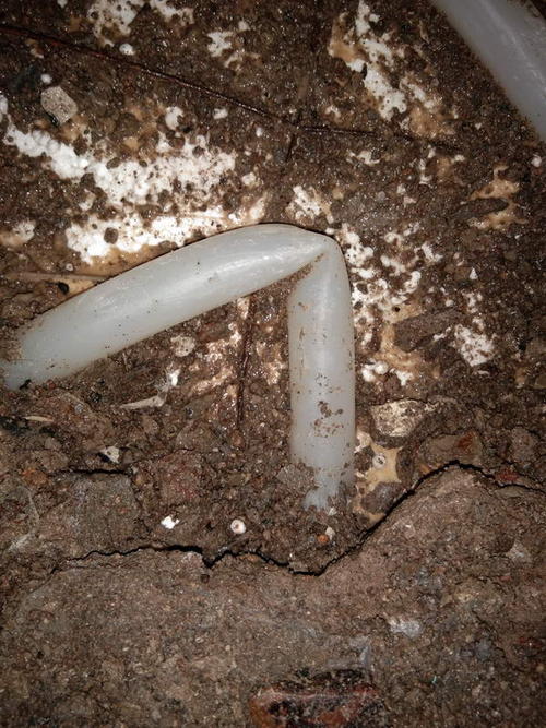 那坡堵点精准查找